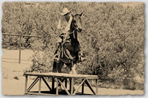 The rider is stepping his horse onto a raised platform as part of his personal advancement lesson.