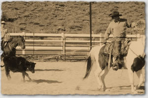 Roping a calf from horseback.
